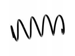 Fe46916 Sprężyna Zawieszenia Przód L/P Pasuje Do: Bmw 3 (E90), 3 (E91)