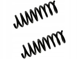 Fe46902 Sprężyna Zawieszenia Tył L/P Pasuje Do: Mercedes C (W202) 2.5D