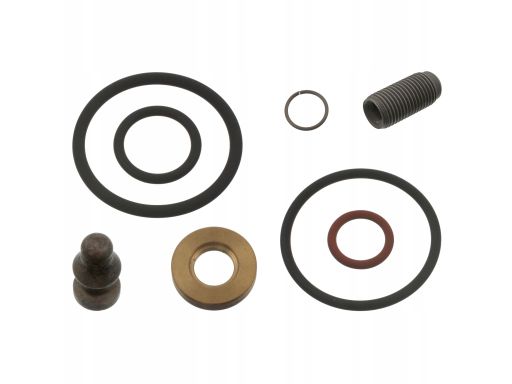 Fe46527 Zestaw Naprawczy (Ze Śrubą) Pasuje Do: Audi A2, A3, A4 B5, A4