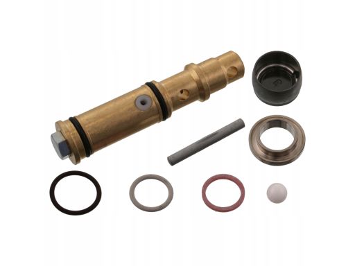 Fe46247 Zestaw Naprawczy Pompy Odchylania Kabiny Pasuje Do: Iveco