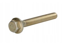 Fe45224 Śruba M12X1,75/112Mm Pasuje Do: Daf