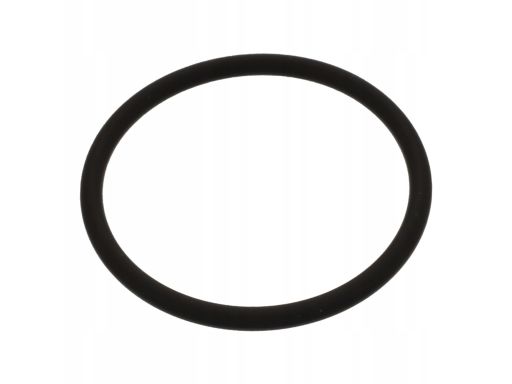 Fe44674 Pierścień Uszczelniający (Śr. Wew. 39Mm, Śr. Zew. 45Mm, Gr. 3M
