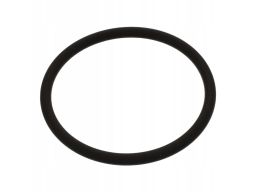 Fe44674 Pierścień Uszczelniający (Śr. Wew. 39Mm, Śr. Zew. 45Mm, Gr. 3M