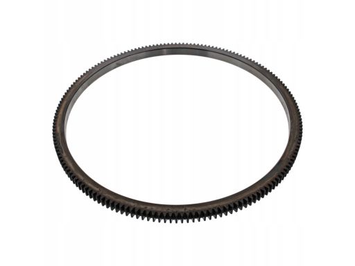 Fe44304 Wieniec Zębaty Koła Zamachowego 167Szt., Śr.460Mm, Wys. 22Mm
