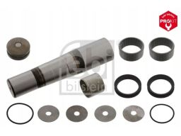 Fe44165 Zestaw Naprawczy Zwrotnicy (32Mmx172Mm) Pasuje Do: Daf Lf 45