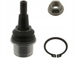 Fe40887 Sworzeń Wahacza Przód L/P (Dół Przód) (Średnica Stożka 21Mm, Z