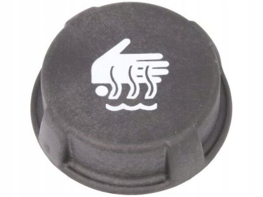 Fe40245 Korek Zbiornika Wyrównawczego Płynu Chłodzącego Pasuje Do: Daf
