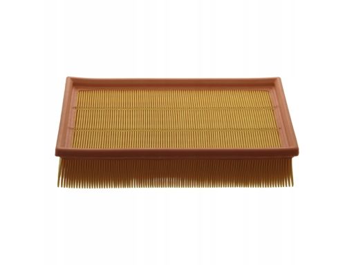 Fe38922 Filtr Powietrza (Wkład Filtra) Pasuje Do: Volvo C30, S40 Ii, V