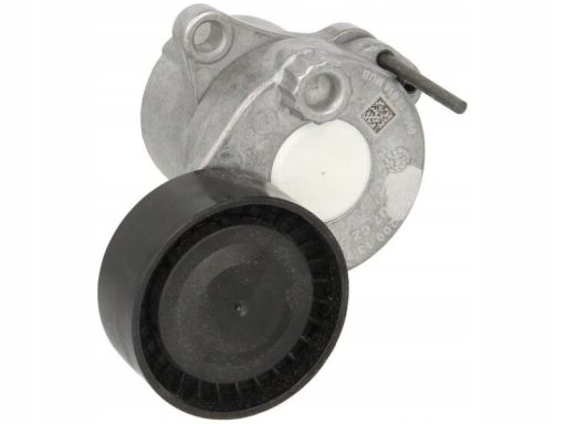 Fe38467 Napinacz Paska Wielorowkowego Pasuje Do: Mercedes C (C204), C