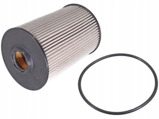 Fe172250 Filtr Paliwa (Z Pierścieniem Uszczelniającym) Pasuje Do: Citr