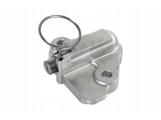 Fe36298 Napinacz Łańcucha Rozrządu Pasuje Do: Volvo C30, S40 Ii, S80 I