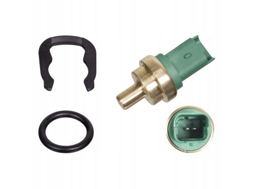 Fe36038 Czujnik Temperatury Płynu Chłodzącego (Ilość Pinów: 2, Zielony