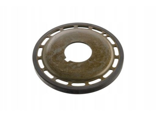 Fe36070 Pierścień Czujnika Obrotów Wału Korbowego (30X100X9,8) Pasuje