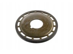 Fe36070 Pierścień Czujnika Obrotów Wału Korbowego (30X100X9,8) Pasuje