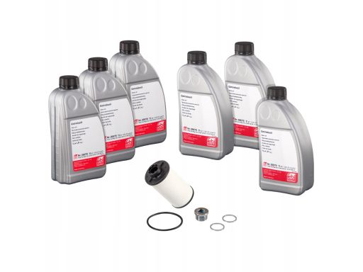 Fe171762 Filtr Hydrauliki Skrzyni Biegów, Z Olejem (02E, 0D9, Dq250)