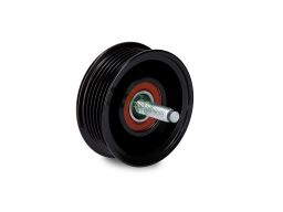 532 0922 10 Rolka Prowadząca Pasek Wielorowkowy Pasuje Do: Jaguar E-Pa