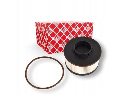 Fe171181 Filtr Paliwa (Z Pierścieniem Uszczelniającym) Pasuje Do: Ds D