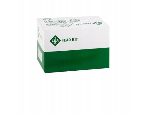 529 0419 10 Zestaw Pasków Wielorowkowych (Z Rolkami) Pasuje Do: Ds Ds