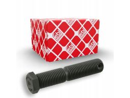 01248 Śruba Do Regulacji Pochylenia Koła Febi Bilstein