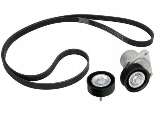 529 0219 10 Zestaw Pasków Wielorowkowych (Z Rolkami) Pasuje Do: Ford