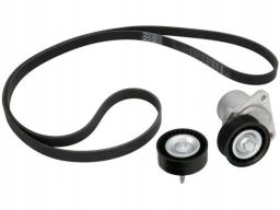 529 0219 10 Zestaw Pasków Wielorowkowych (Z Rolkami) Pasuje Do: Ford