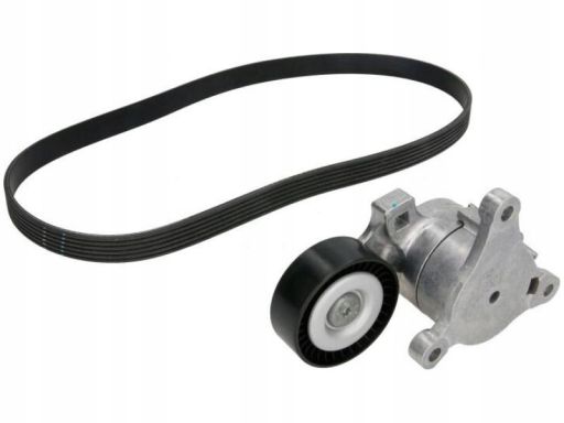 529 0214 10 Zestaw Pasków Wielorowkowych (Z Rolkami) Pasuje Do: Citroe