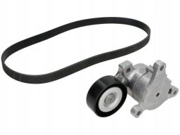 529 0214 10 Zestaw Pasków Wielorowkowych (Z Rolkami) Pasuje Do: Citroe