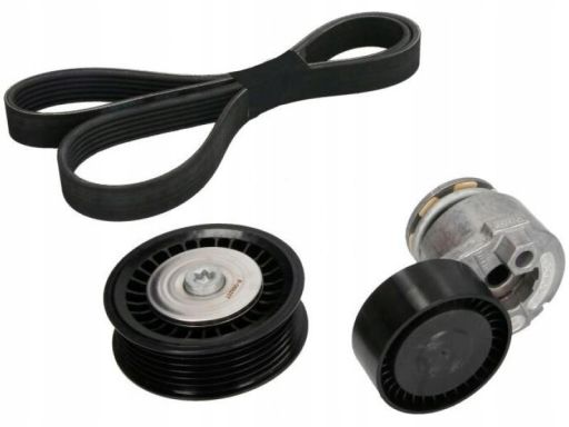 529 0165 10 Zestaw Pasków Wielorowkowych (Z Rolkami) Pasuje Do: Dacia