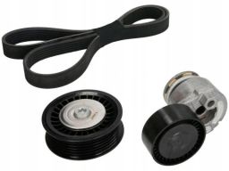 529 0165 10 Zestaw Pasków Wielorowkowych (Z Rolkami) Pasuje Do: Dacia