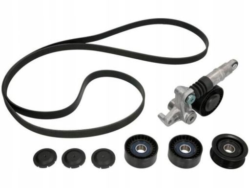 529 0209 10 Zestaw Pasków Wielorowkowych (Z Rolkami) Pasuje Do: Audi A