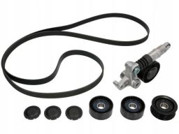 529 0209 10 Zestaw Pasków Wielorowkowych (Z Rolkami) Pasuje Do: Audi A