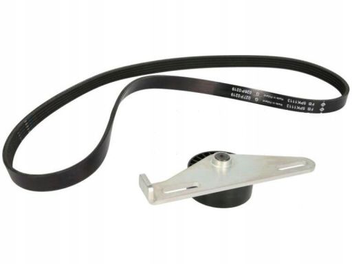 529 0145 10 Zestaw Pasków Wielorowkowych (Z Rolkami) Pasuje Do: Dacia