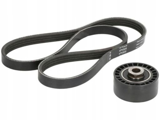 529 0100 10 Zestaw Pasków Wielorowkowych (Z Rolkami) Pasuje Do: Dacia