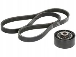 529 0100 10 Zestaw Pasków Wielorowkowych (Z Rolkami) Pasuje Do: Dacia