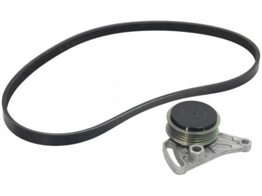 529 0099 10 Zestaw Pasków Wielorowkowych (Z Rolkami) Pasuje Do: Audi A