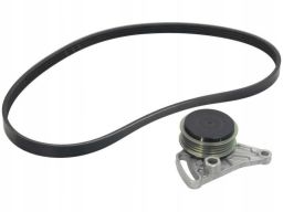 529 0099 10 Zestaw Pasków Wielorowkowych (Z Rolkami) Pasuje Do: Audi A