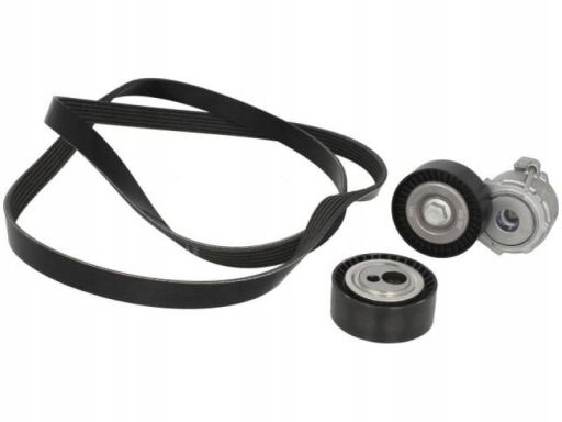 529 0092 10 Zestaw Pasków Wielorowkowych (Z Rolkami) Pasuje Do: Citroe