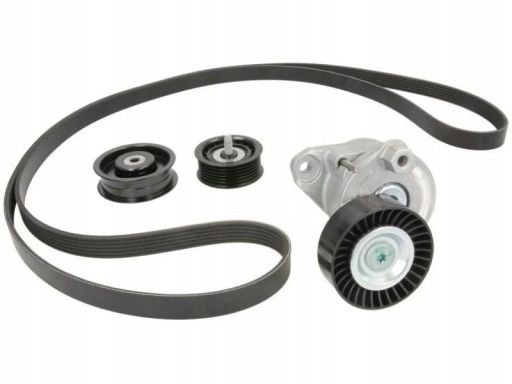 529 0034 10 Zestaw Pasków Wielorowkowych (Z Rolkami) Pasuje Do: Merced