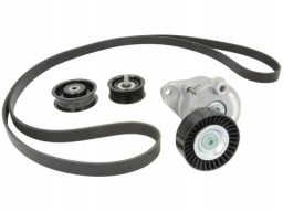 529 0034 10 Zestaw Pasków Wielorowkowych (Z Rolkami) Pasuje Do: Merced