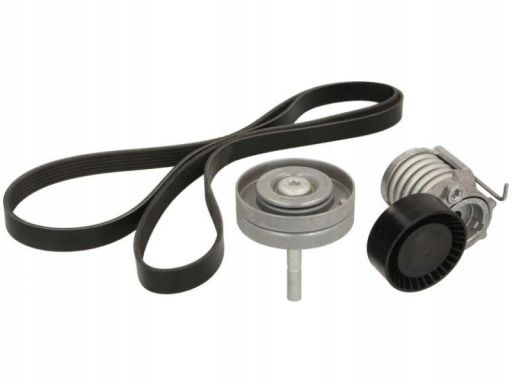 529 0090 10 Zestaw Pasków Wielorowkowych (Z Rolkami) Pasuje Do: Seat