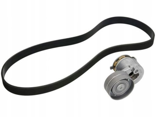 529 0088 10 Zestaw Pasków Wielorowkowych (Z Rolkami) Pasuje Do: Renaul