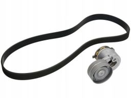 529 0088 10 Zestaw Pasków Wielorowkowych (Z Rolkami) Pasuje Do: Renaul