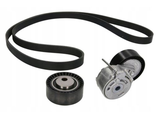 529 0017 10 Zestaw Pasków Wielorowkowych (Z Rolkami) Pasuje Do: Citroe