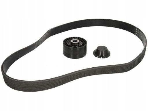 529 0016 10 Zestaw Pasków Wielorowkowych (Z Rolkami) Pasuje Do: Renaul