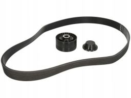 529 0016 10 Zestaw Pasków Wielorowkowych (Z Rolkami) Pasuje Do: Renaul