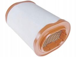 Fe109209 Filtr Powietrza (Wkład Filtra) Pasuje Do: Land Rover Range Ro