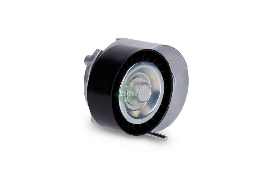 534 0455 10 Napinacz Paska Wielorowkowego Pasuje Do: Citroen Nemo,