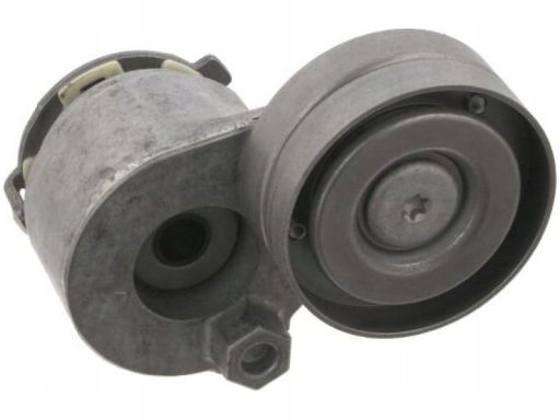 Fe32581 Napinacz Paska Wielorowkowego Pasuje Do: Volvo S40 I, V40,