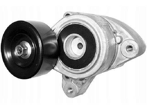 534 0261 10 Napinacz Paska Wielorowkowego Pasuje Do: Acura Tsx, Honda