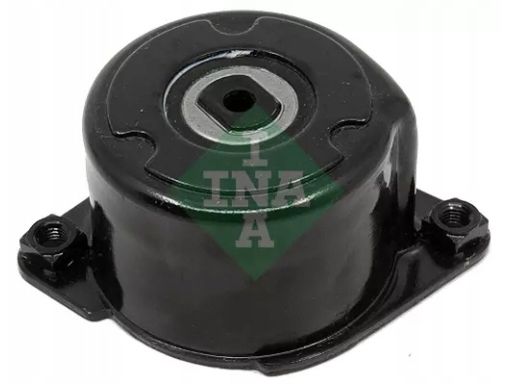 534 0170 10 Napinacz Paska Wielorowkowego Pasuje Do: Bmw 3 (E46), 3 (E